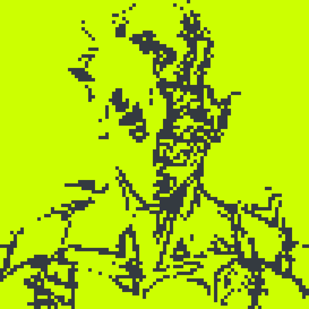 Robin Alpha#3313