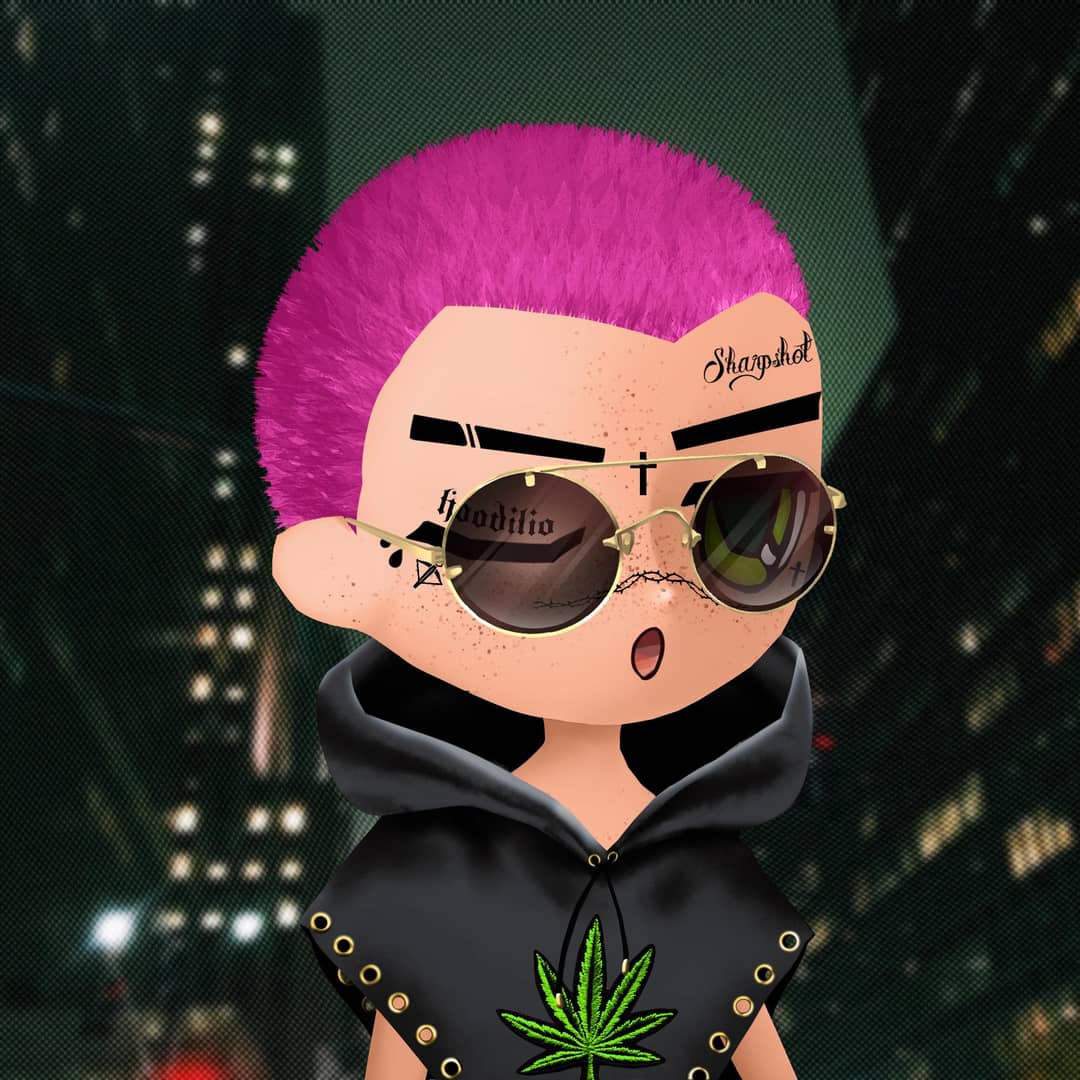 Hoodilio #307