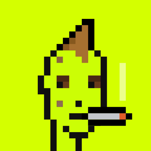 404 Origin Punk
