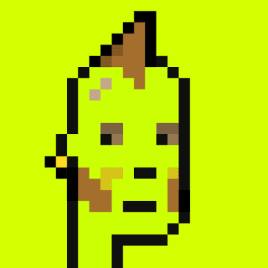 404 Origin Punk