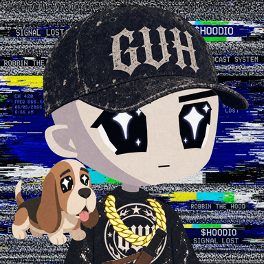 HOODIO #3046