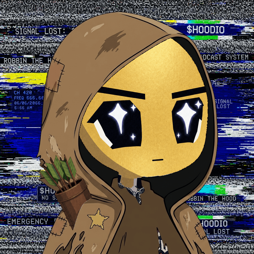 HOODIO #3285