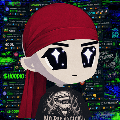 HOODIO #4597