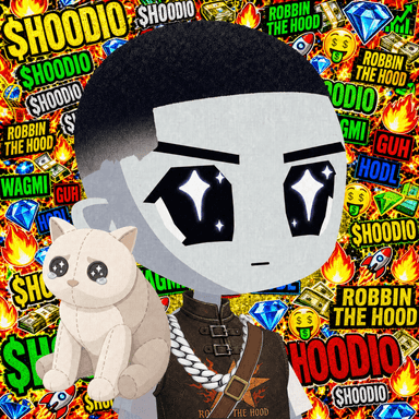 HOODIO #2510