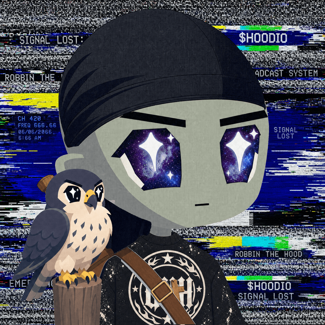 HOODIO #2888