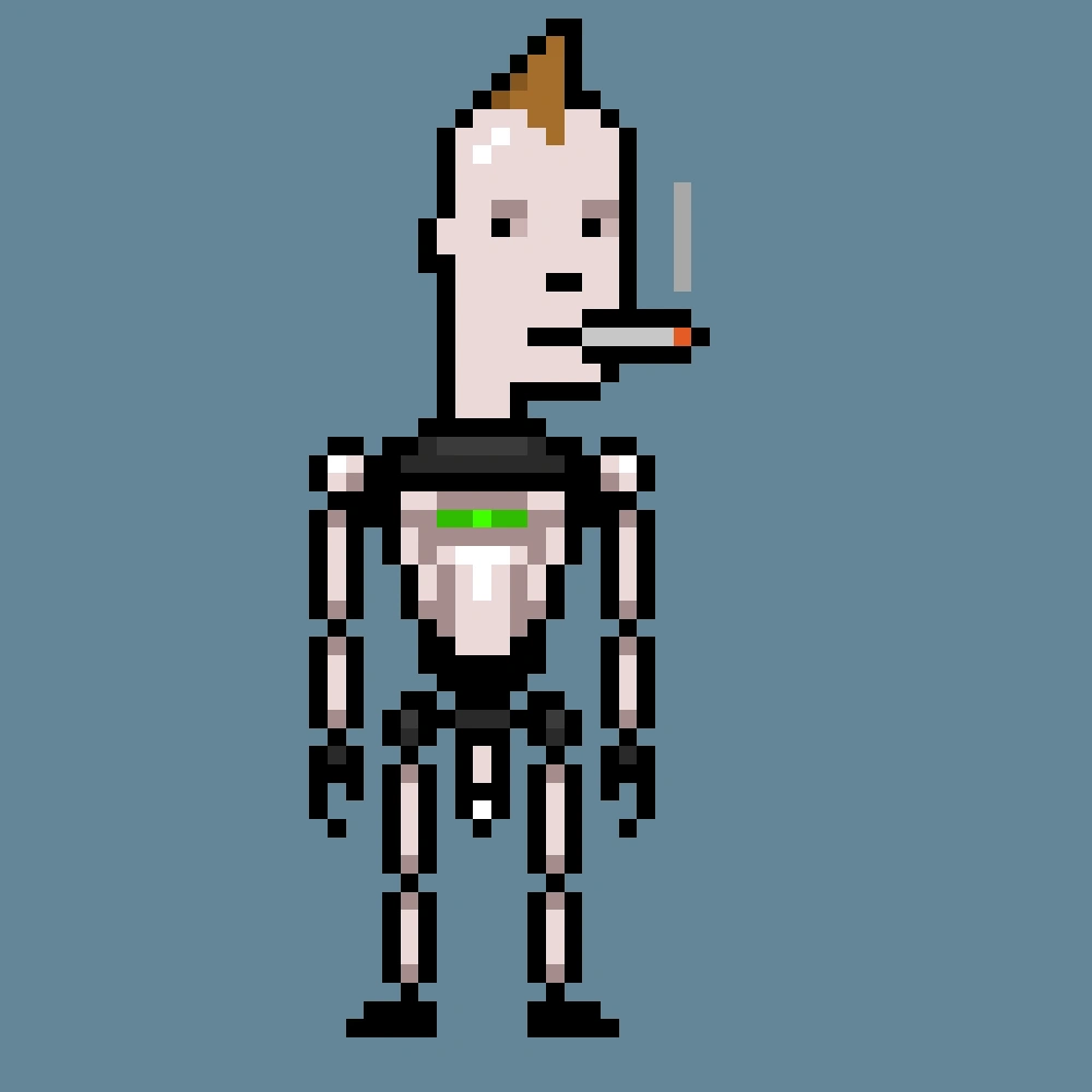 Digital Punks #1004