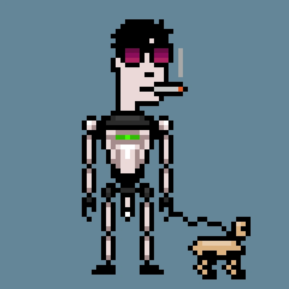 Digital Punks #1006