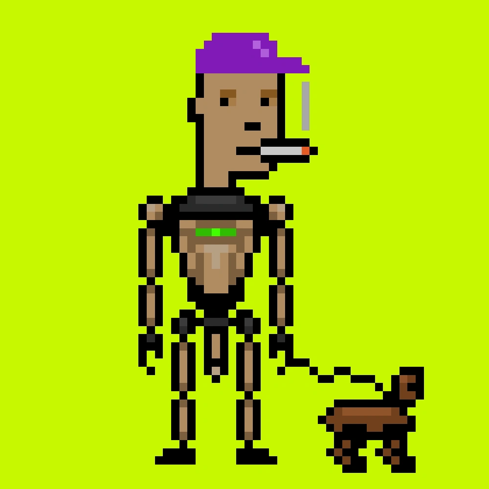 Digital Punks #1111