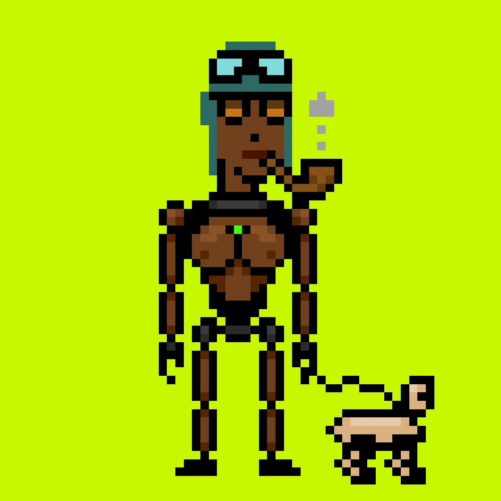 Digital Punks #1213