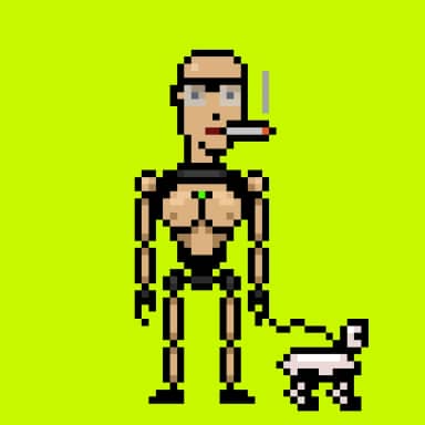 Digital Punks #1262