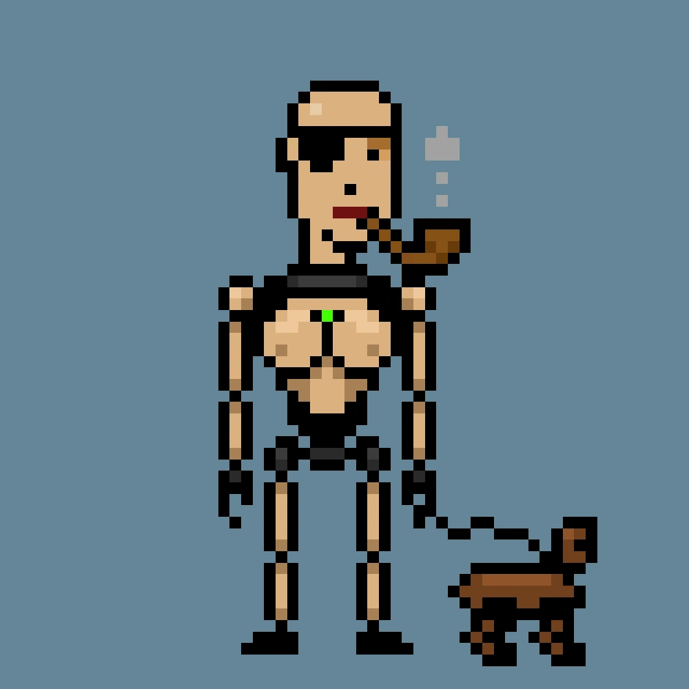 Digital Punks #1294