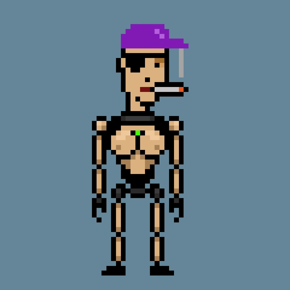 Digital Punks #1352