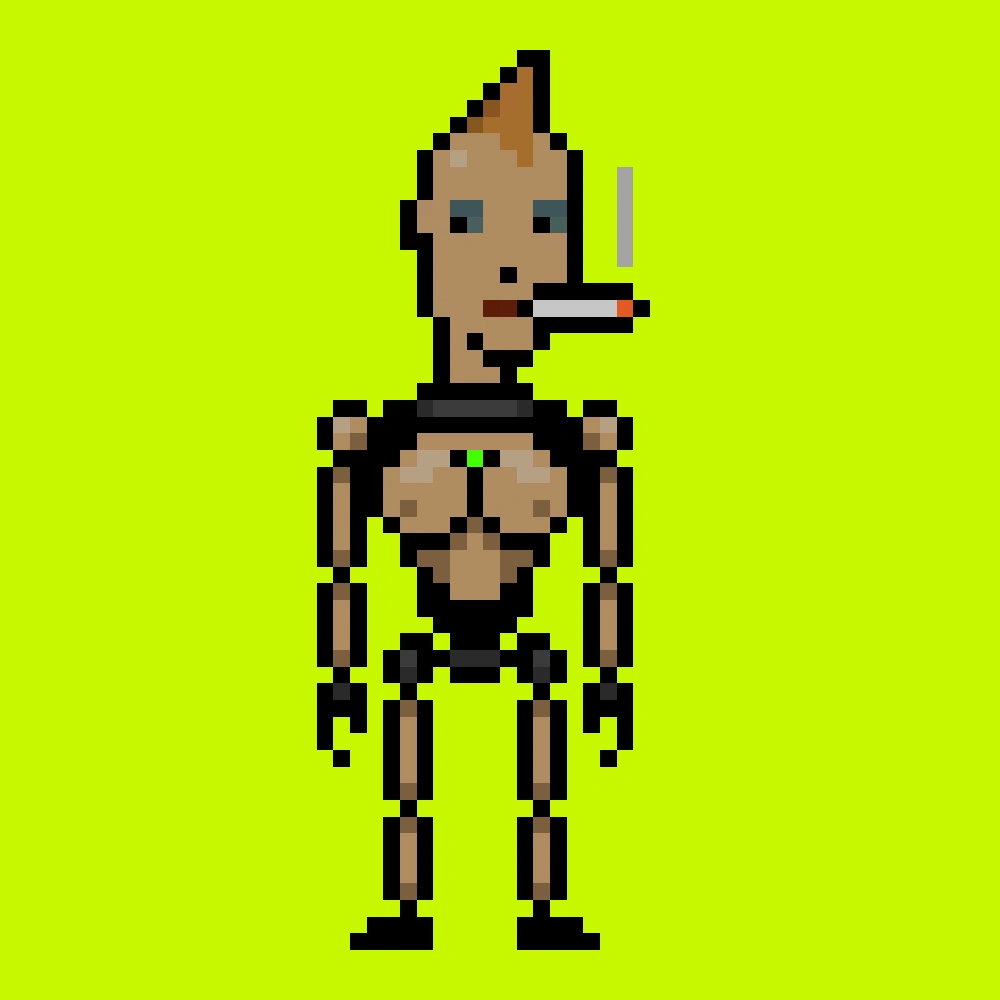 Digital Punks #1355