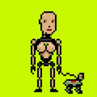 Digital Punks #1369