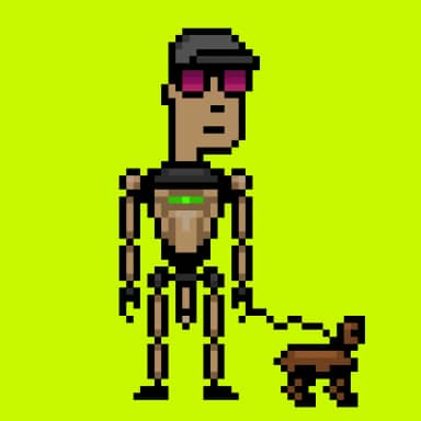 Digital Punks #1455