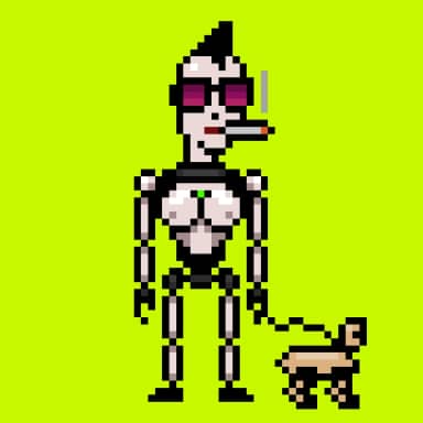 Digital Punks #1571