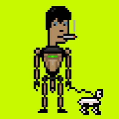 Digital Punks #1599