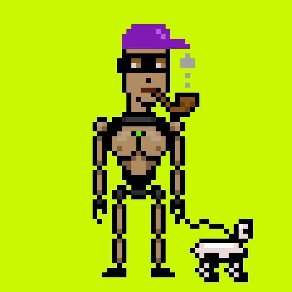 Digital Punks #1602