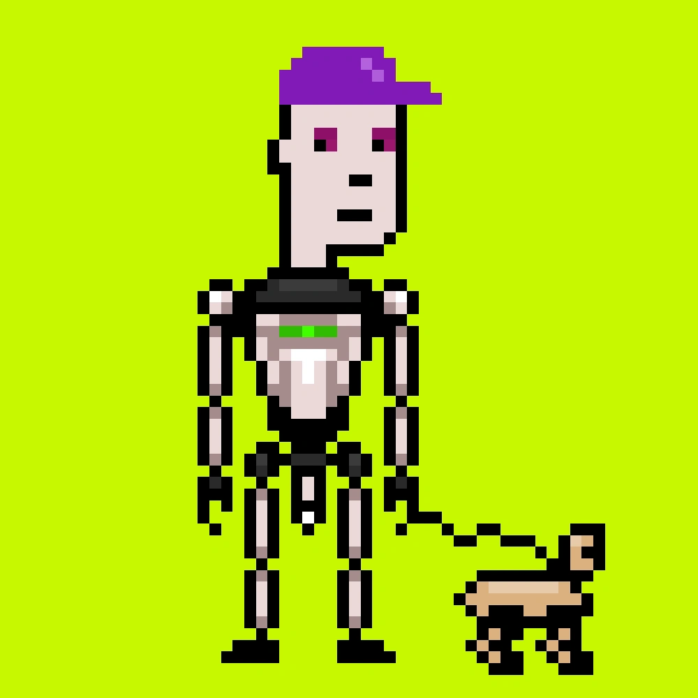 Digital Punks #1607