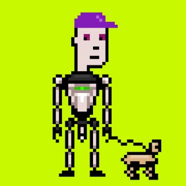 Digital Punks #1607
