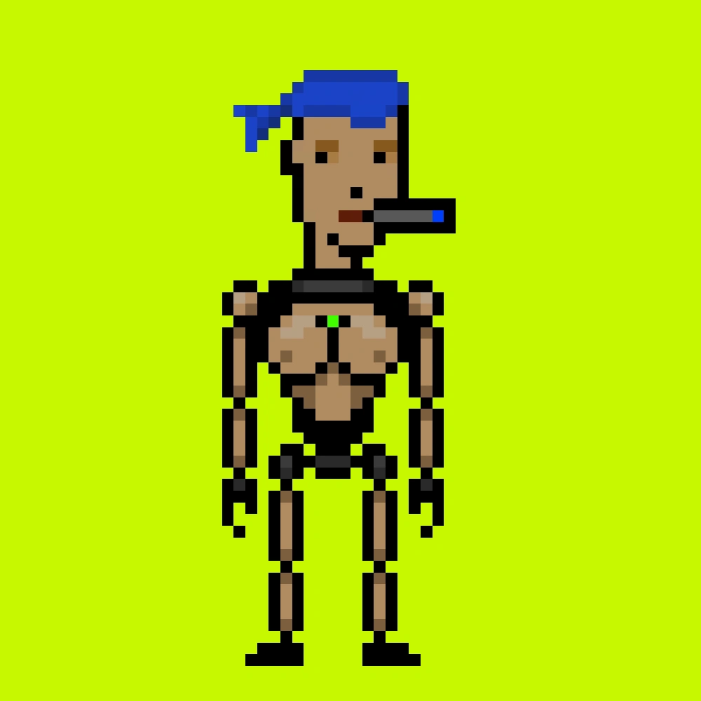 Digital Punks #1656