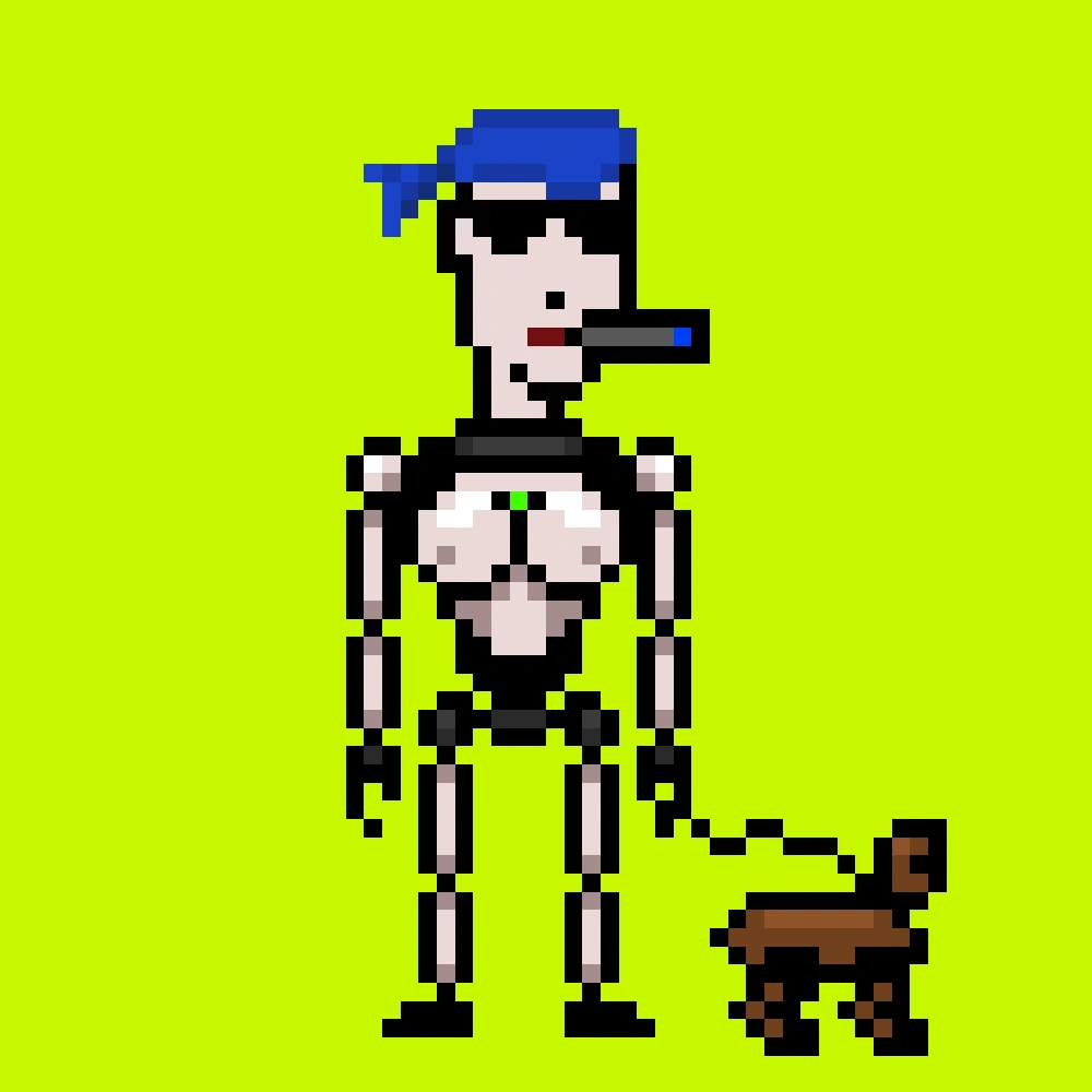 Digital Punks #1997
