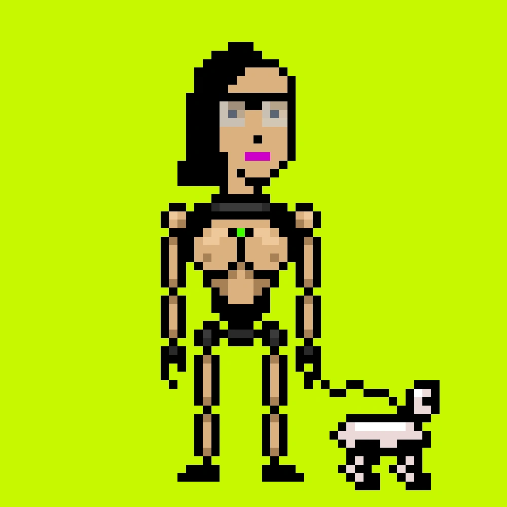 Digital Punks #2008