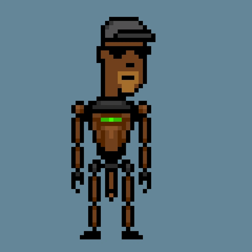 Digital Punks #2015