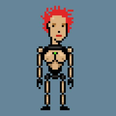 Digital Punks #2017