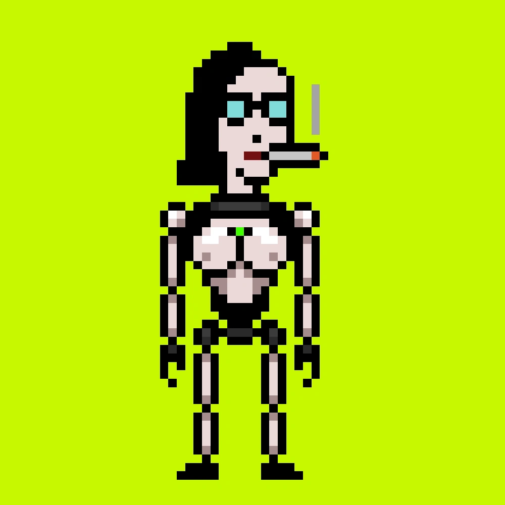 Digital Punks #2047