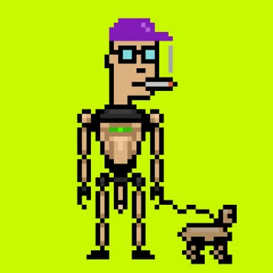 Digital Punks #2233