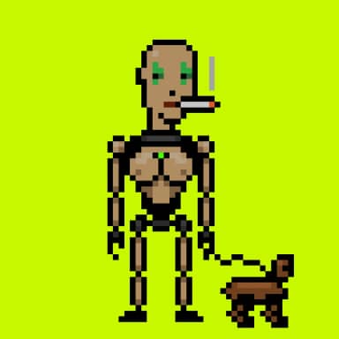 Digital Punks #2305