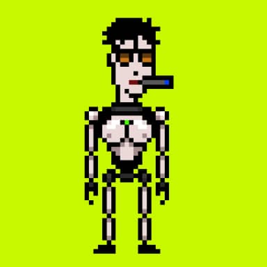 Digital Punks #2411