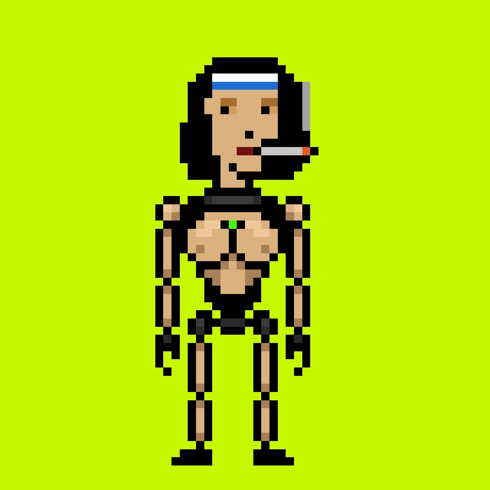 Digital Punks #2443