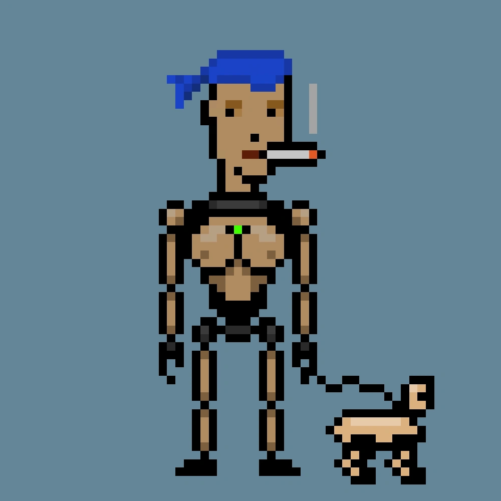 Digital Punks #2448