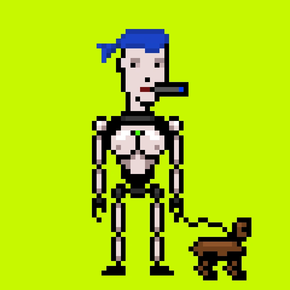 Digital Punks #2494