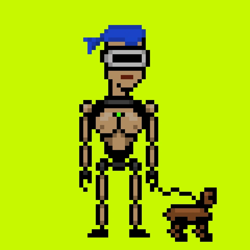 Digital Punks #2655