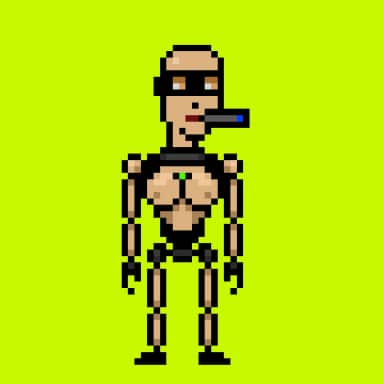 Digital Punks #2789