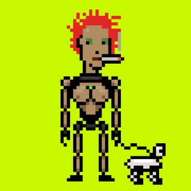 Digital Punks #2911