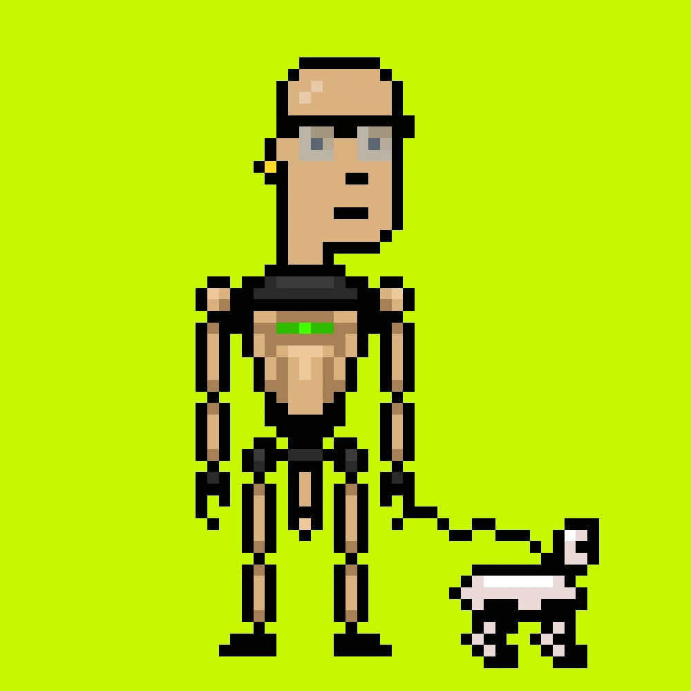 Digital Punks #2955