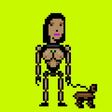 Digital Punks #3017