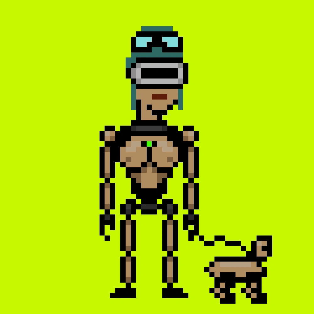 Digital Punks #3055