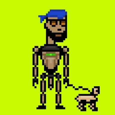 Digital Punks #336