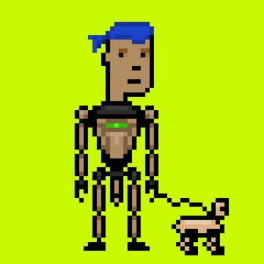 Digital Punks #343