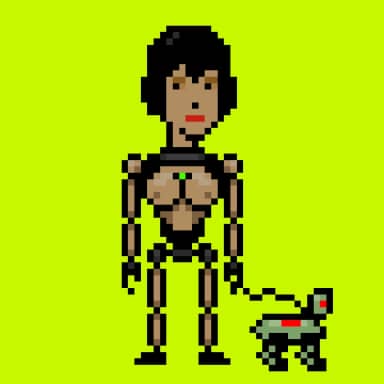 Digital Punks #345