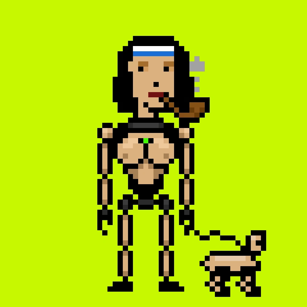Digital Punks #3455