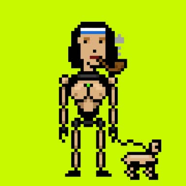 Digital Punks #3455