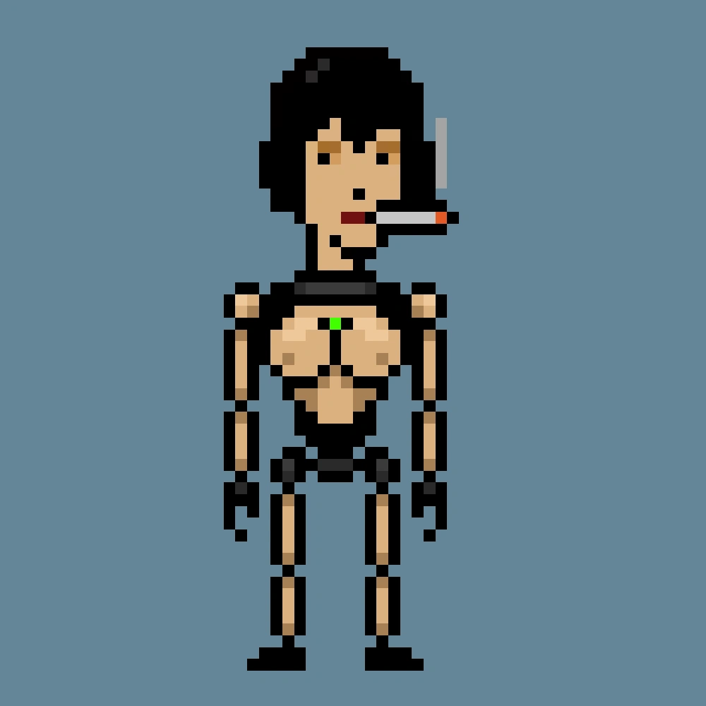 Digital Punks #4045