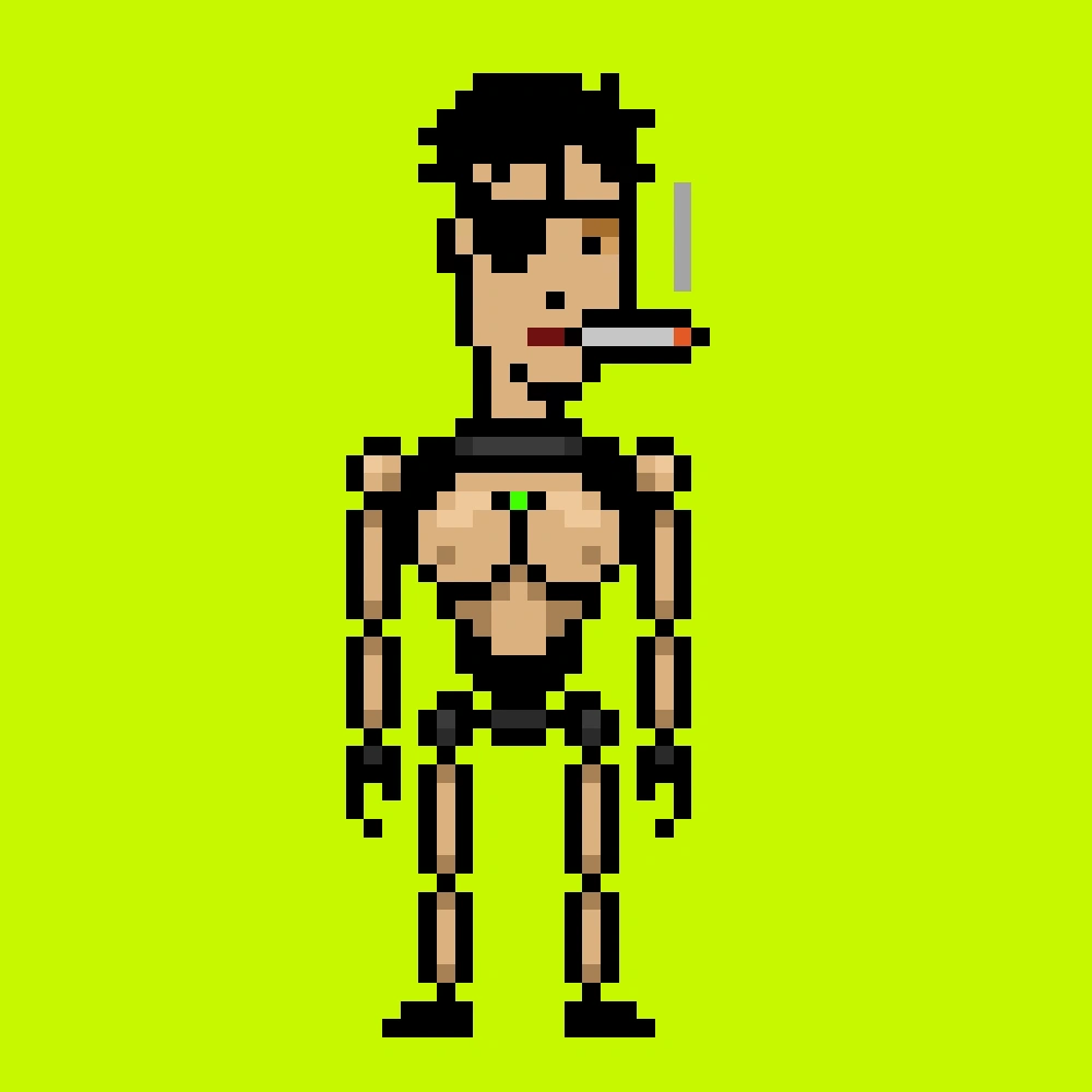 Digital Punks #4066