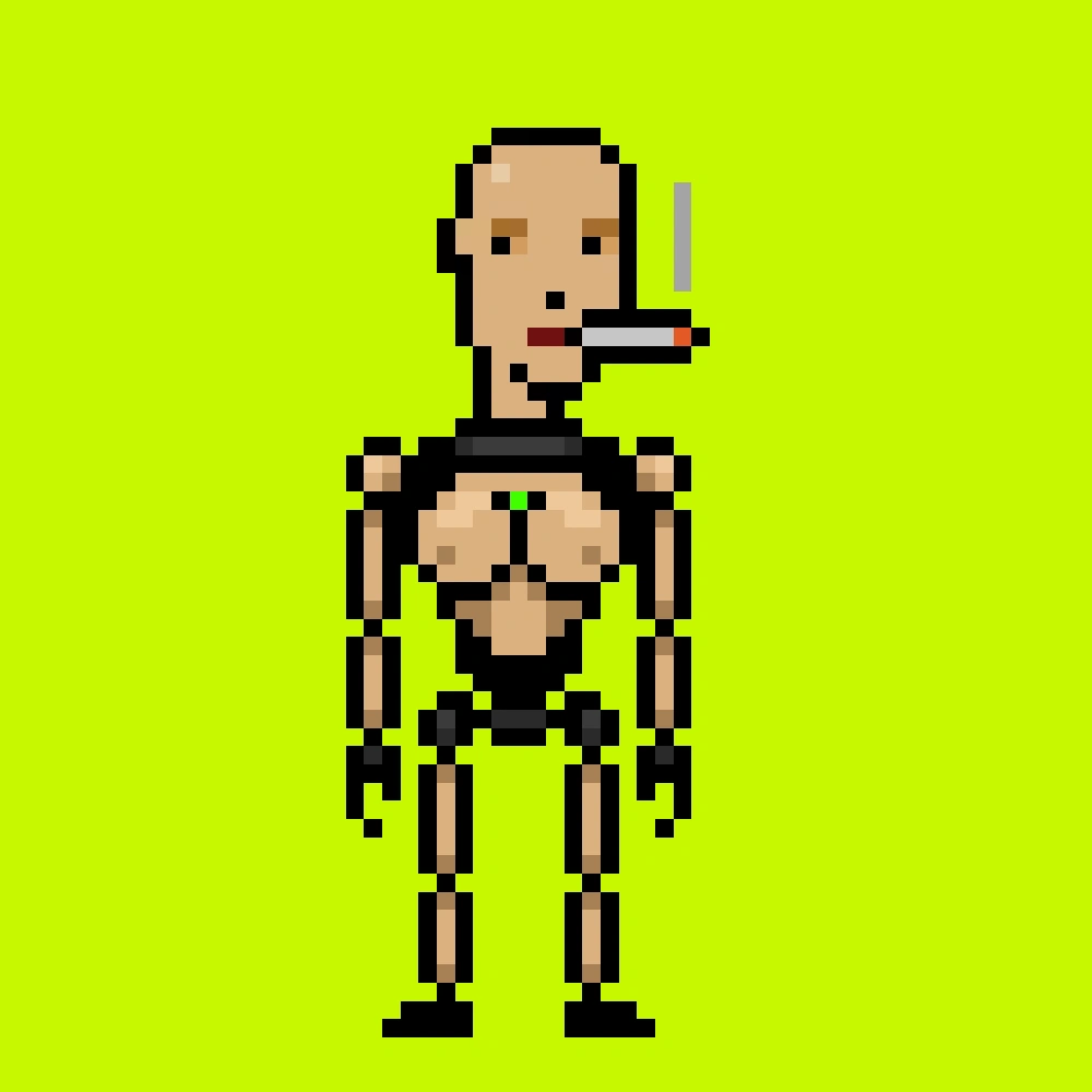 Digital Punks #485